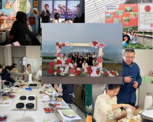 2025031316161741853800501001800.jpg 未命名.jpg