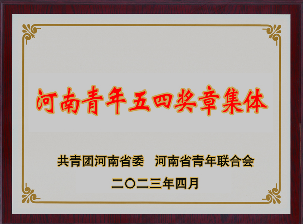 防汛集體獲“河南青年五四獎(jiǎng)?wù)录w”.jpg