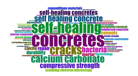 2025010909151736385337617046441.jpg 0.jpg