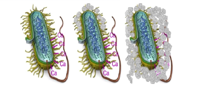 2025010909161736385380880019998.jpg 1.jpg