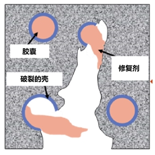 2025010909161736385409737042998.jpg 01.jpg