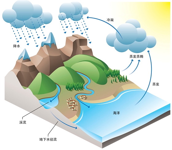 2025010910111736388669612096431.jpg 1.jpg