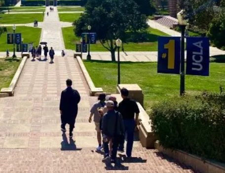 加州大學(xué)洛杉磯分校-UCLA